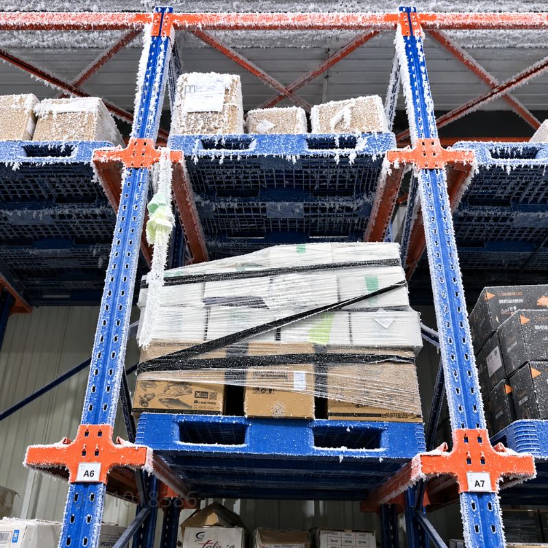 Pallet cho kho lạnh, những điều cần chú ý khi lựa chọn